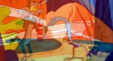 Wile E. Coyote - Roadrunners Rave