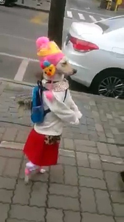 VID-20160226-WA0004.mp4