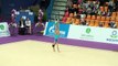 Dina Averina мяч Художественная гимнастика