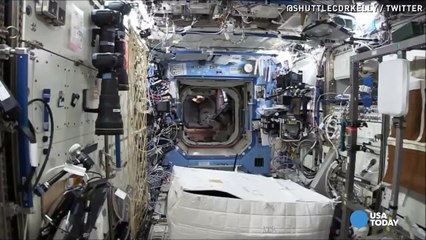 "Gorilla" chases crew in space station for celebrating his long mission