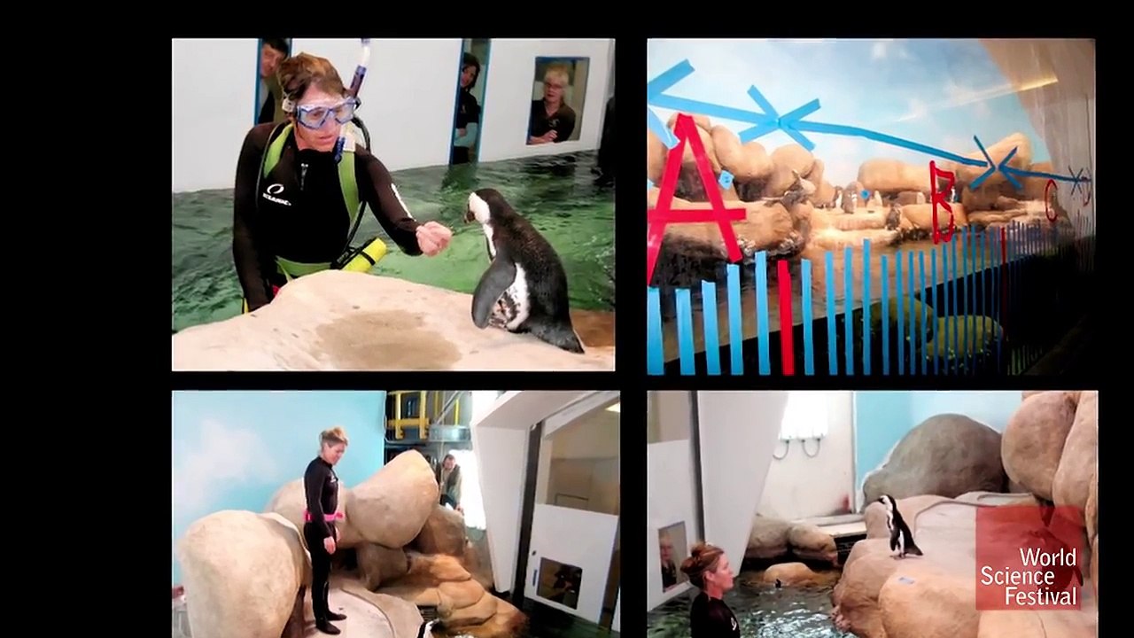 The Aquatic Biologist