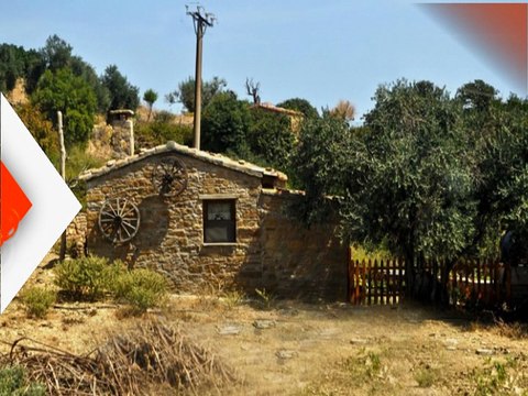 (27.02.2016 )YÖRELERİMİZ DİLE GELDİ CUMARTESİ SAAT 18:00'DA BARIŞ TV'DE