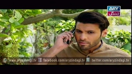 Dil Nahin Manta Ep - 20 - 26th February 2016