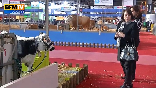 Salon de l'agriculture: les exposants attendent les politiques de pied ferme