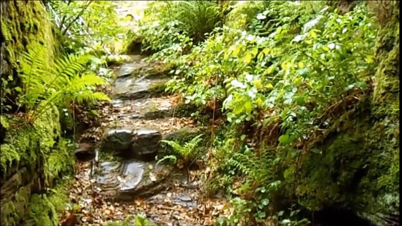 Burgen in Frankreich: Burg Klein-Arnsberg/ Petit Arnsbourg
