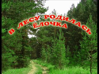 В лесу родилась ёлочка. Наше всё!