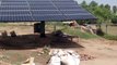 Sun Source Power Solar water pump installed at  Silanwali District Sargodha