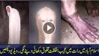 Ghosts seen near Rawal Dam-Real Video