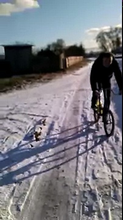 велоспорт(12)