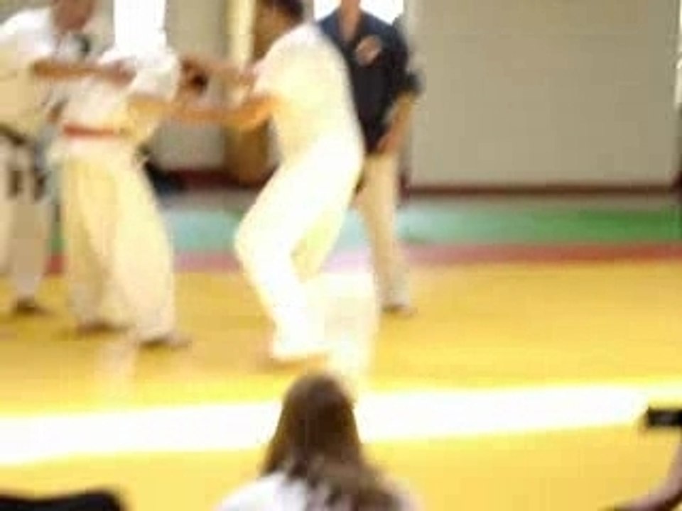 kyusho jitsu - Leeroy Röder - Ennery 2007