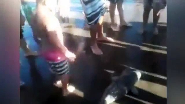 Un bébé dauphin meurt à cause de touristes débiles qui voula