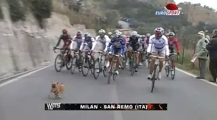 Веселый велоспорт!!!