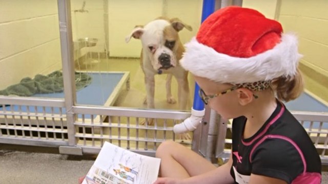 Animal Shelter Encourages Kids To Read To Orphaned Dogs