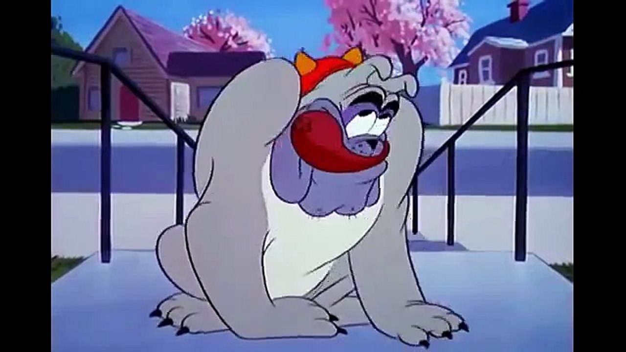 Pluto and Figaro Cartoons