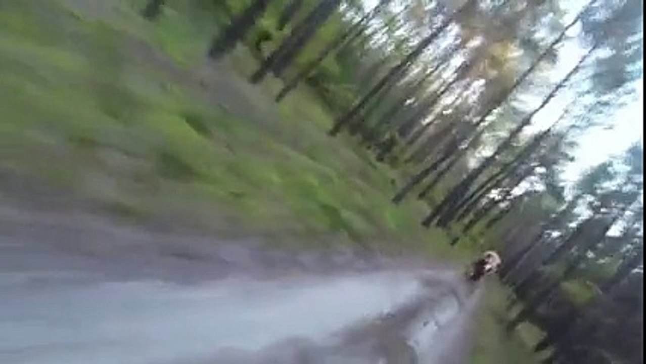 Kumpulan Video Lucu Terbaru 2016