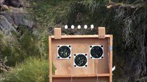 Ruger 10-22 SHOOTING EGGS - YouTube