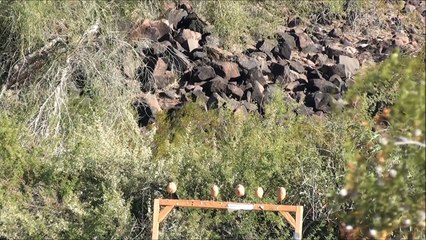 Ruger 10-22 VS Potatoes - Shooting Potato with the Ruger 10-22 and the BX-25 Magazine