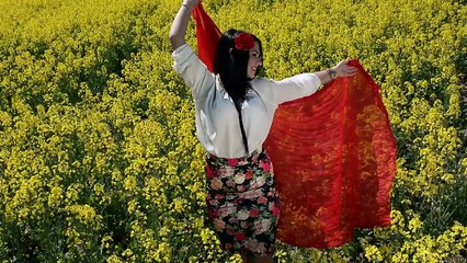 Dj Sebi - Am in suflet numai gheata 2016 VideoClip Full HD