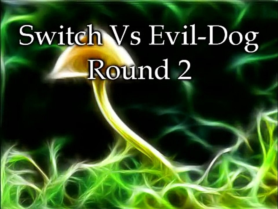 Switch Vs Evil-Dog - Round 2