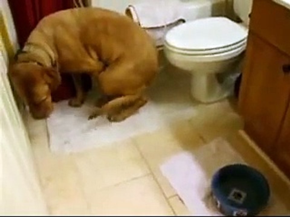 The Anxiety Wrap Before and After - Actual Thunderstorm