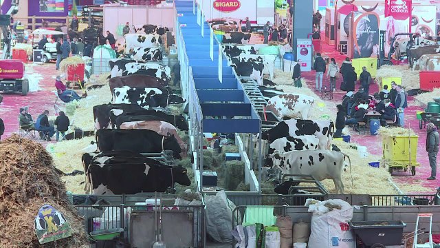Salon de l'Agriculture : Derniers préparatifs avant l'ouverture