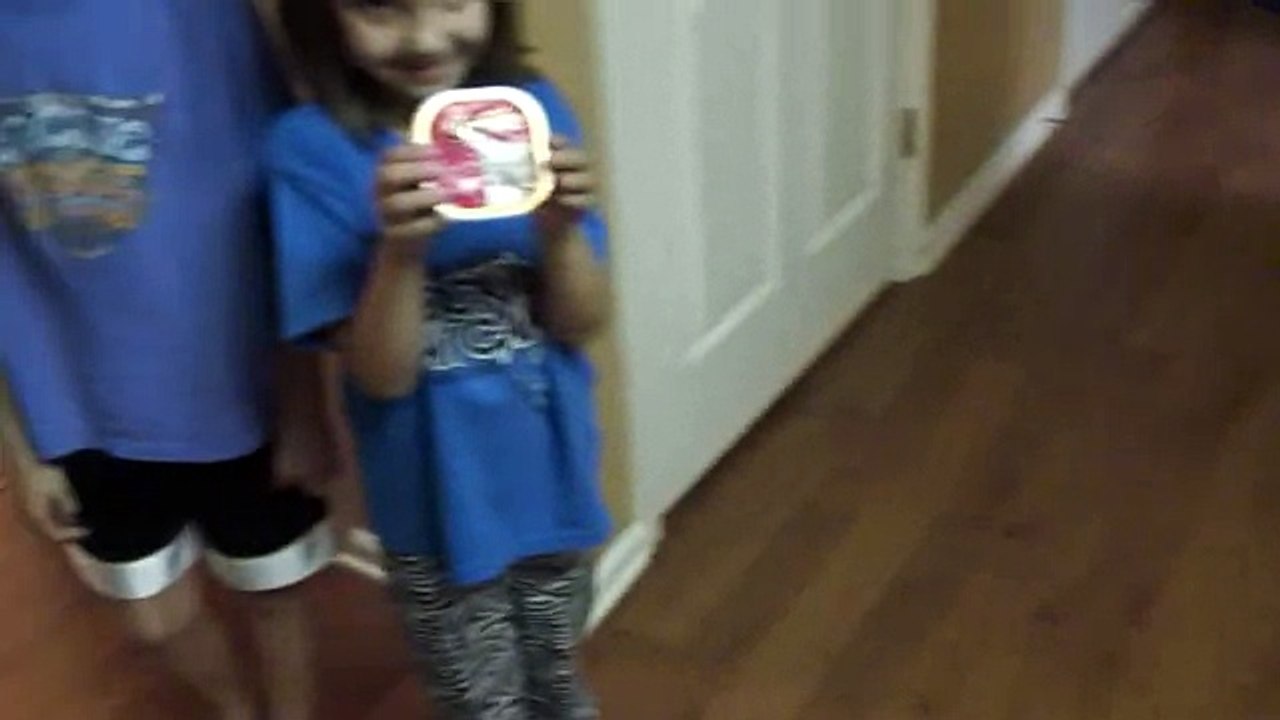 Will A Cat Eat Dog Food-