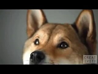 Создайте впечатляющую и красивую рекламу для вашего бренда ✨