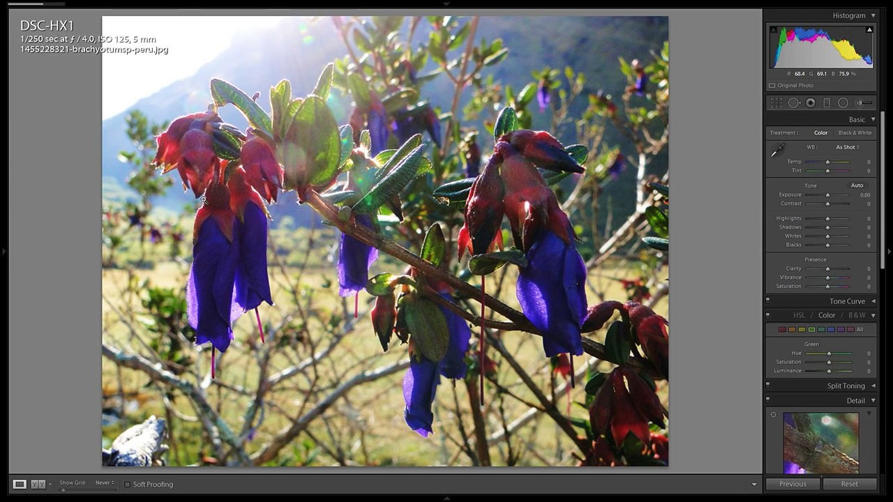 Tony & Chelsea LIVE: Backlit Photography, Photo News, Portfolio Reviews!