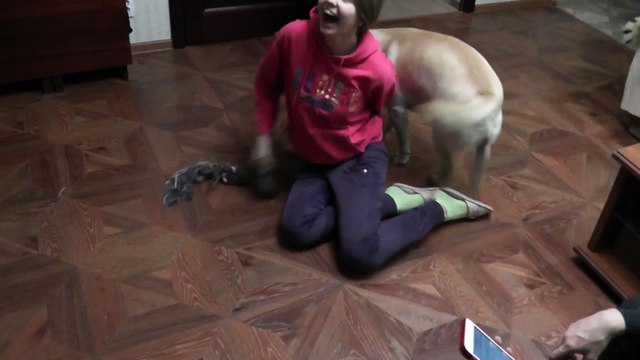 Друг человека