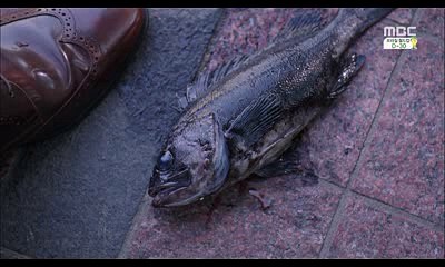 김포오피 서면오피 강서오피OP 아찔한밤