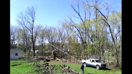 Chainsaw Fail !!! You don t cut a tree like that-Compilation