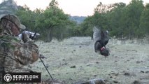 Hunting Gould's Turkeys in Mexico