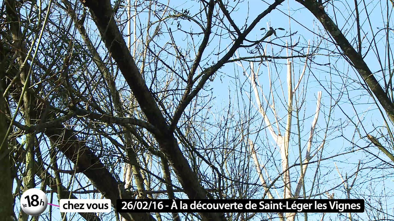 Le 18h chez vous à Saint-Léger les Vignes