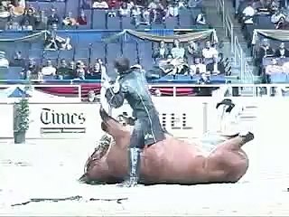 Funniest Horse Act Ever! Tommie Turvey and Pokerjoe!