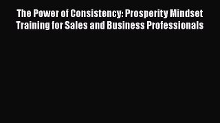 PDF The Power of Consistency: Prosperity Mindset Training for Sales and Business Professionals