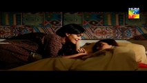 Pakeeza Episode 3 Hum TV 25 February 2016 - Full Drama