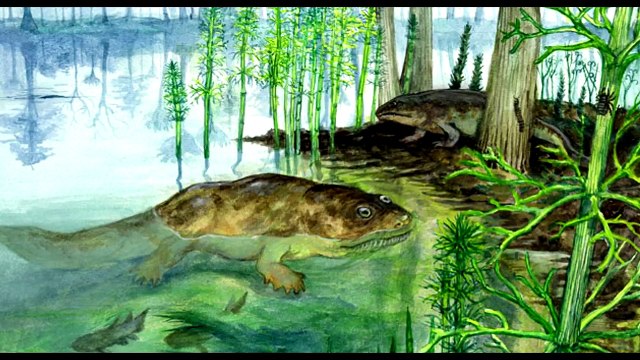 КАК ВЫГЛЯДЯТ ИНОПЛАНЕТЯНЕ- ч1