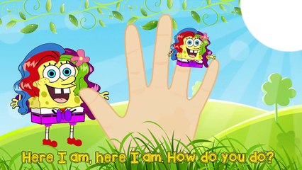 Spongebob Squarepants Finger Family Nursery Rhymes and More Lyrics