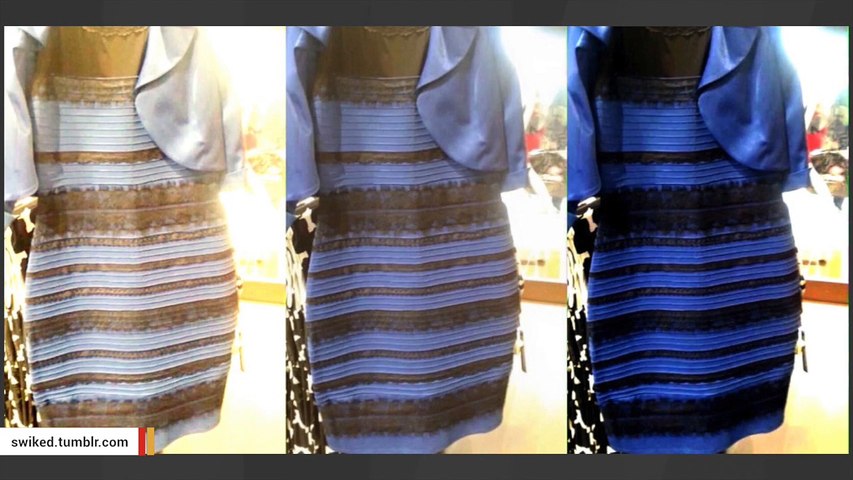 adidas jacket colour debate