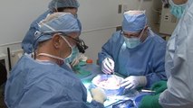 Surgeons perform first uterus transplant in U.S.