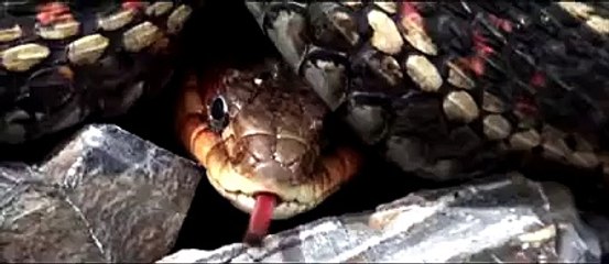 Booba - Comme les autres