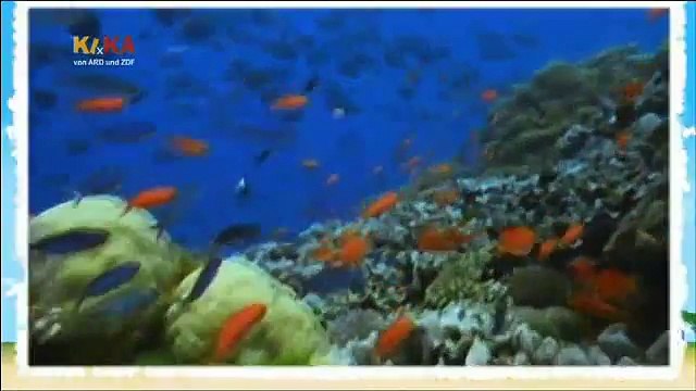 Mama Mirabelles Tierkino 45 Führe mich zum Wasser