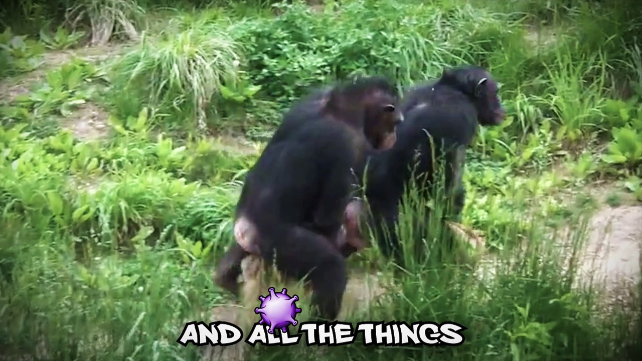 SING ABOUT LOVE (Official Music Video) by Ain't Nobody