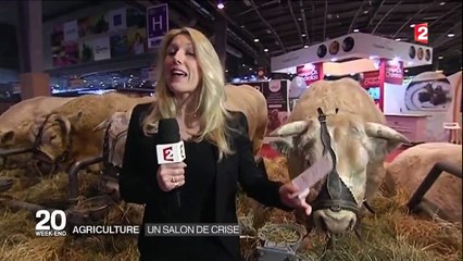 Salon de l'agriculture : des éleveurs fiers de leur profession malgré la crise