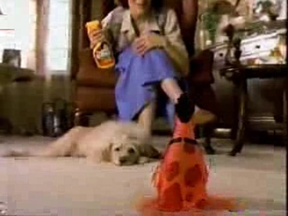 Lou The Stain Commercial