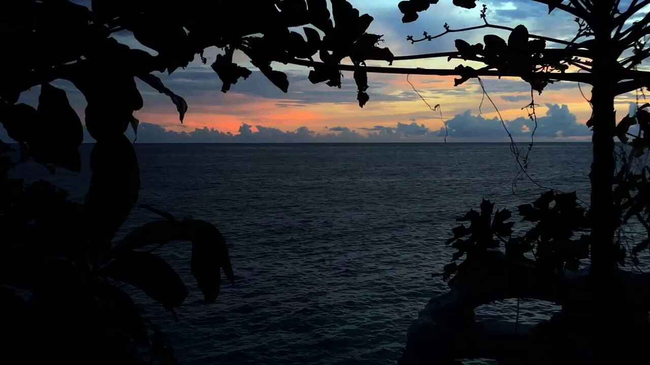 love nature