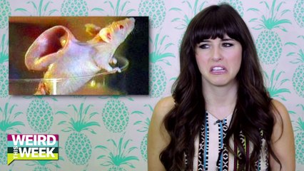 Doomsday Prepping! Furry Nails?! + 3D Printed Body Parts! (WEIRD THIS WEEK)