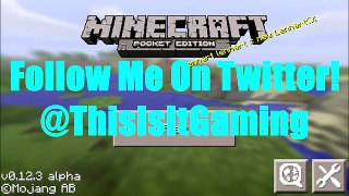 How To Go To The Nether In Minecraft Pocket Edition!