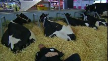 Les agriculteurs attendent François Hollande de pied ferme