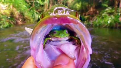 Prende Un Pesce Gigante, Ma Poi Arriva La Sorpresa!